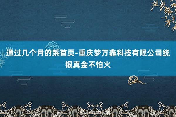 通过几个月的系首页-重庆梦万鑫科技有限公司统锻真金不怕火